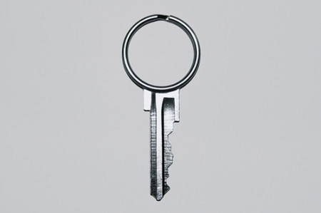 keybrid-keyring-key-1