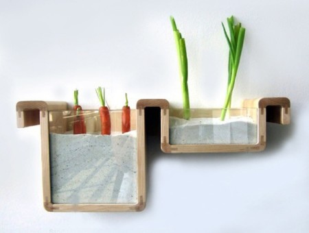 save-food-from-fridge-wide