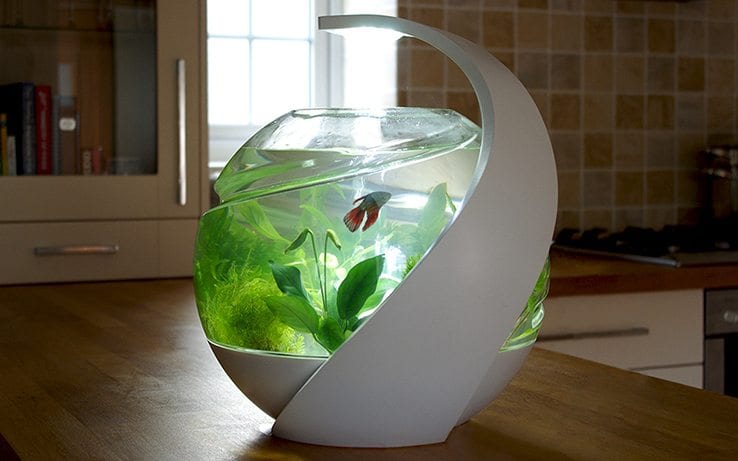 Avo: Self-Cleaning Fish Tank - IPPINKA