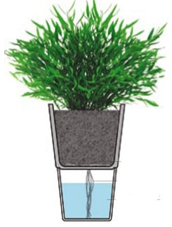 Self Watering Flower Pots Ippinka Self Watering Flowerpot 3