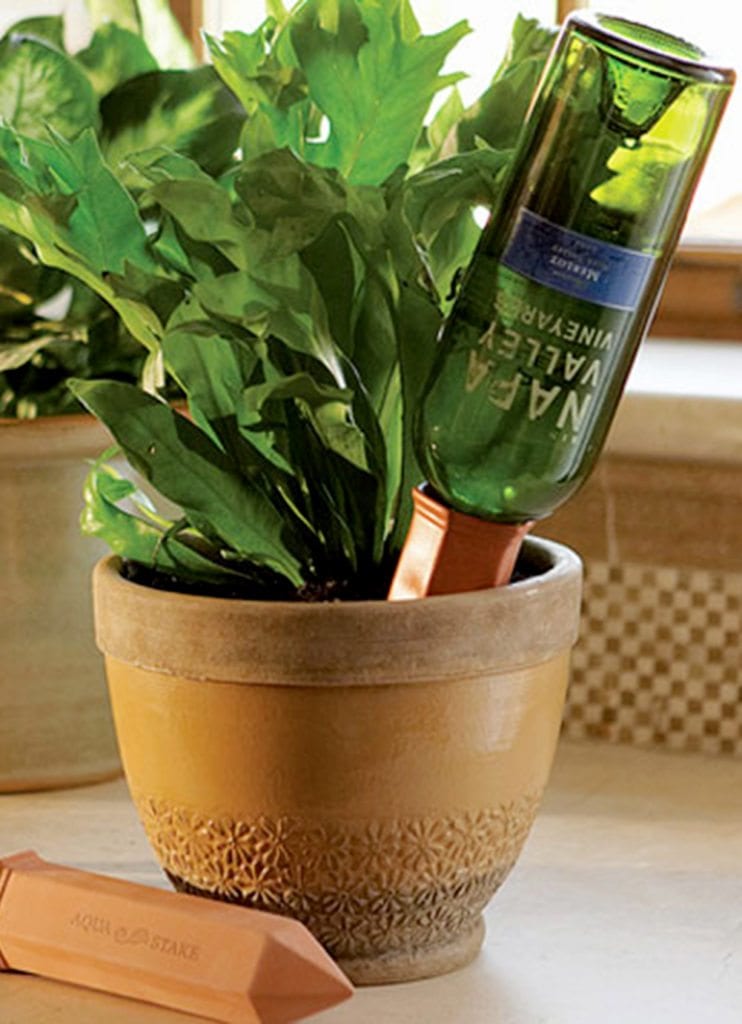 Wine Bottle Watering Stake IPPINKA