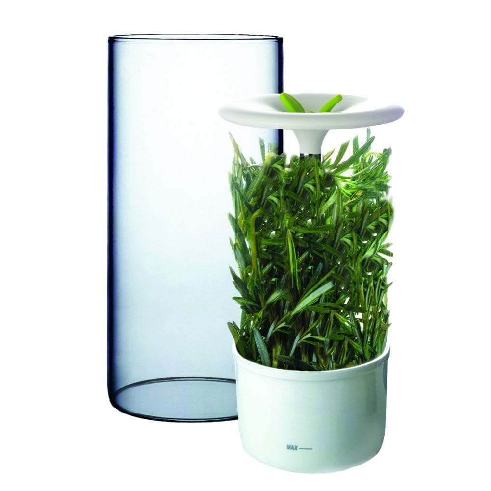 Fresh Herb Keeper IPPINKA