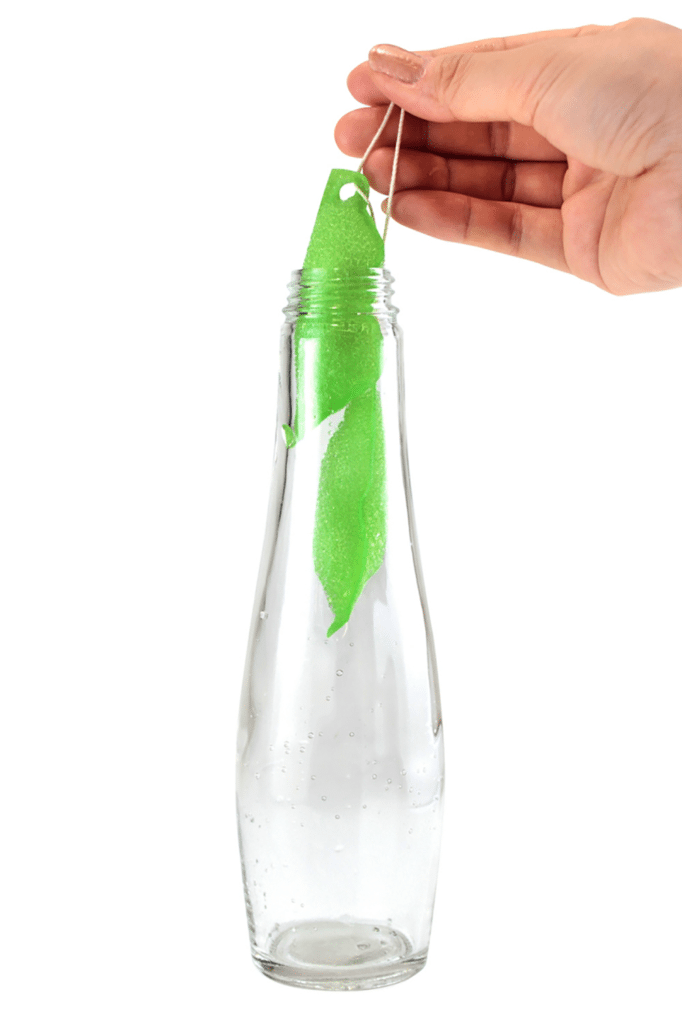 Edamame Shake Bottle Cleaner - IPPINKA
