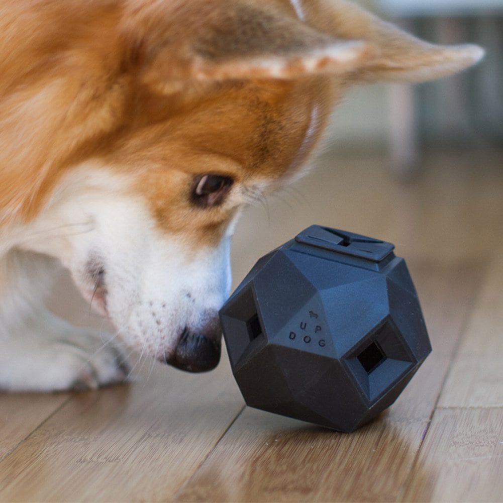 Smart Dog Toy - IPPINKA