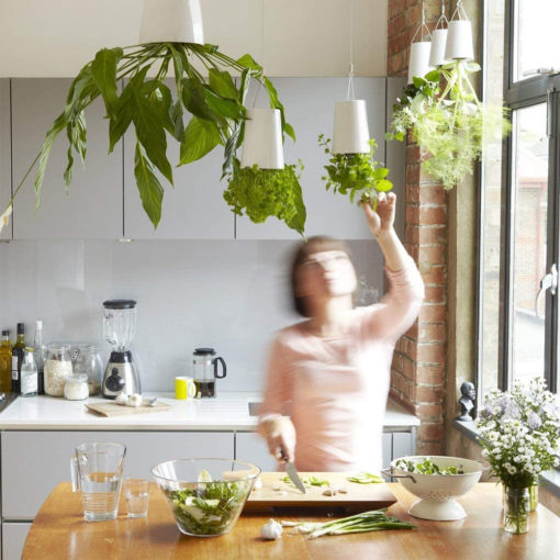 Sky Planter