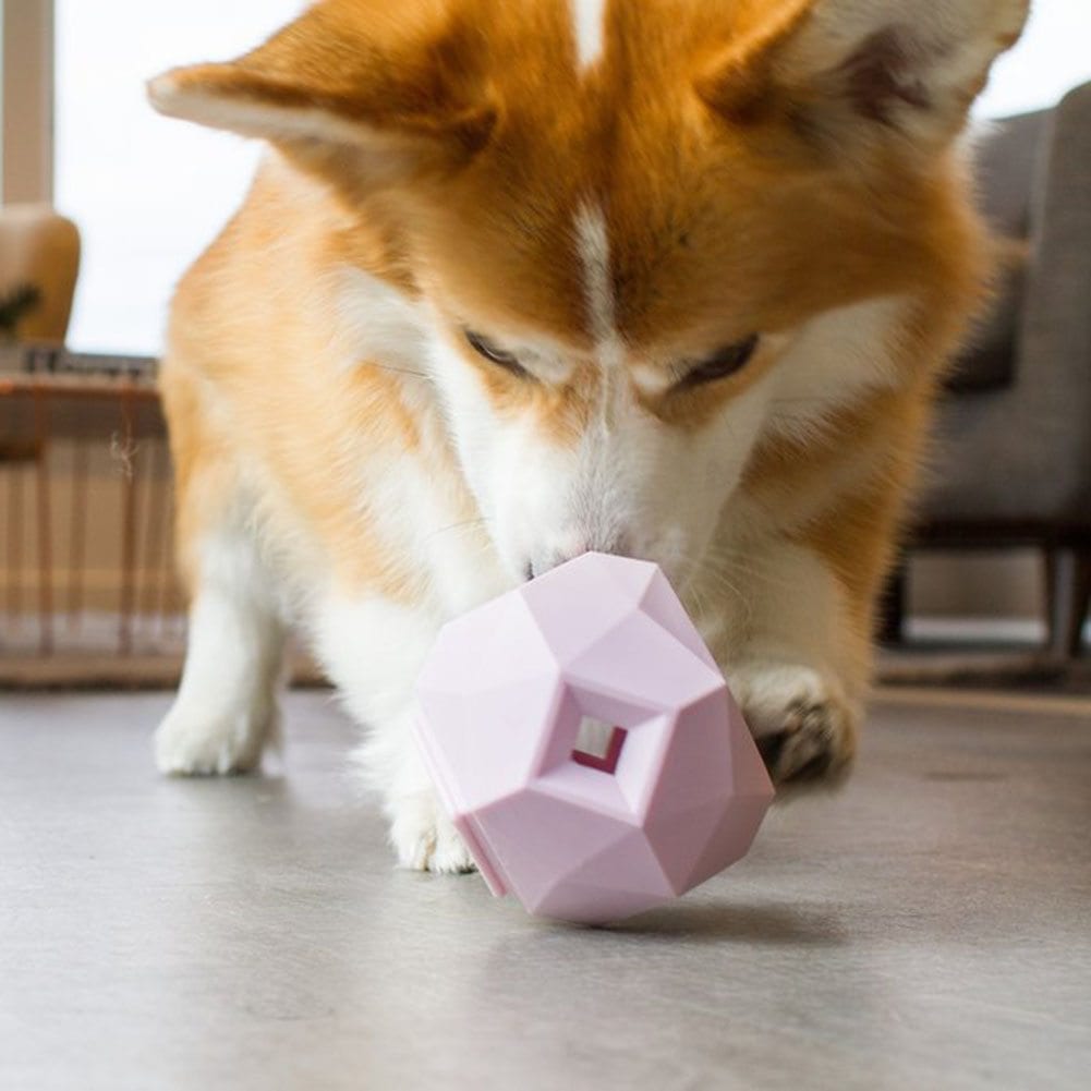 Treat Dispensing Toy, The Odin