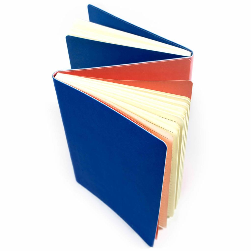 The Flipside Double Sided Notebook - Blue