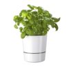 Hydro Herb Pot in White