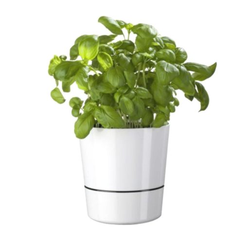Hydro Herb Pot in White