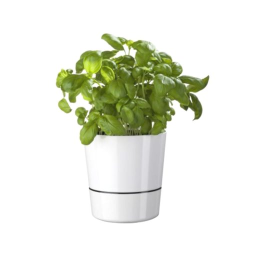 Hydro Herb Pot in White