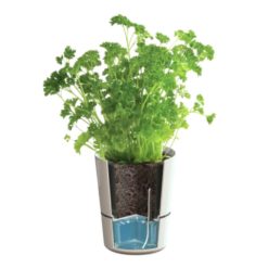 Hydro Herb Pot