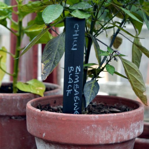 Recycled Plant Labels