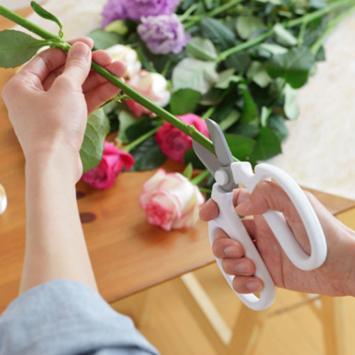 Flower and Herbs Scissors