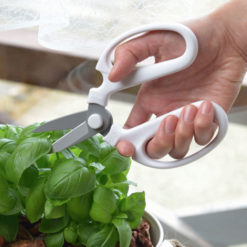 Flower and Herbs Scissors