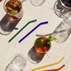 Glass Straws Set