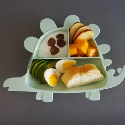 Dinosaur Learning Plate