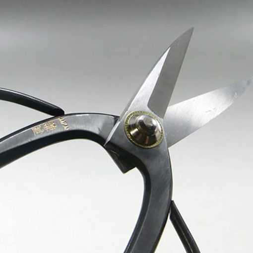 Bonsai Scissors, Overall Length 7 inches, Blade 2 inches