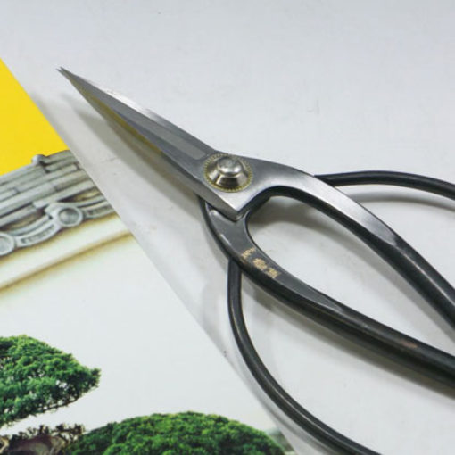 Bonsai Scissors, Overall Length 7 inches, Blade 2 inches