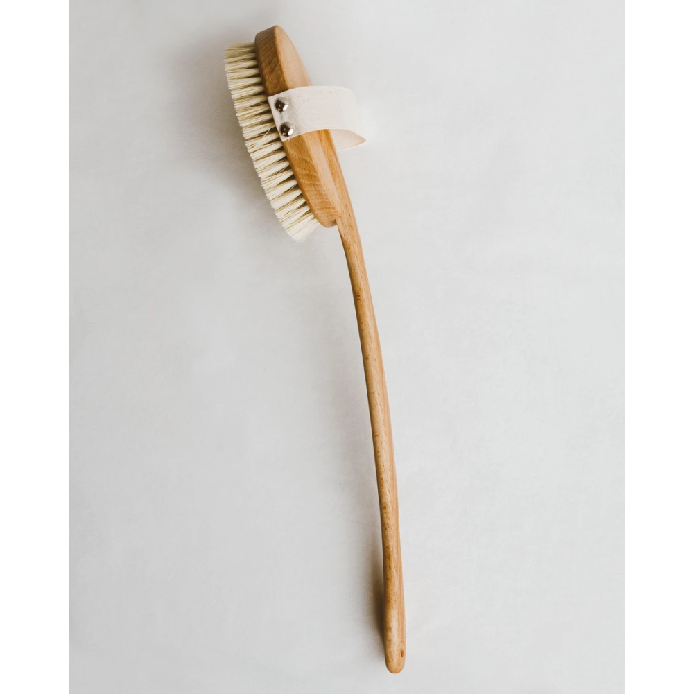 Beechwood Bathtub Cleaning Brush - PUBLIC