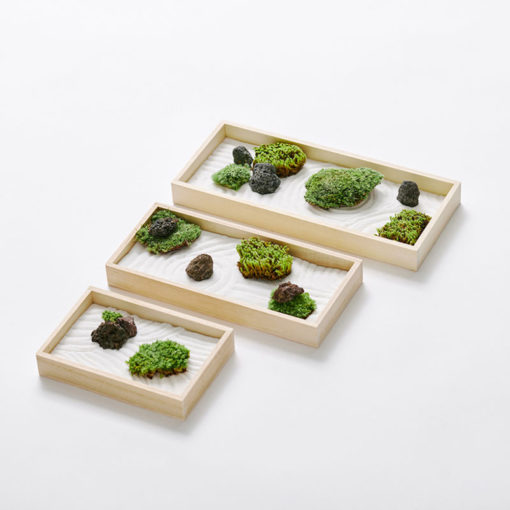 DIY TableTop Moss Garden Kit – Moss Acres