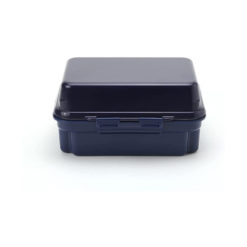 Two-Layer Ice Lid Bento Box